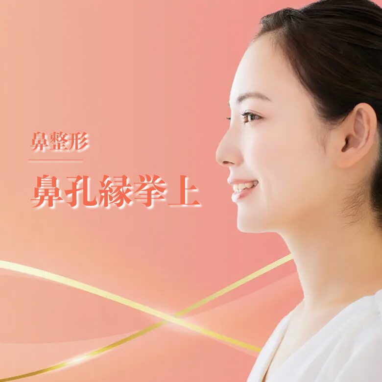 鼻孔縁挙上
